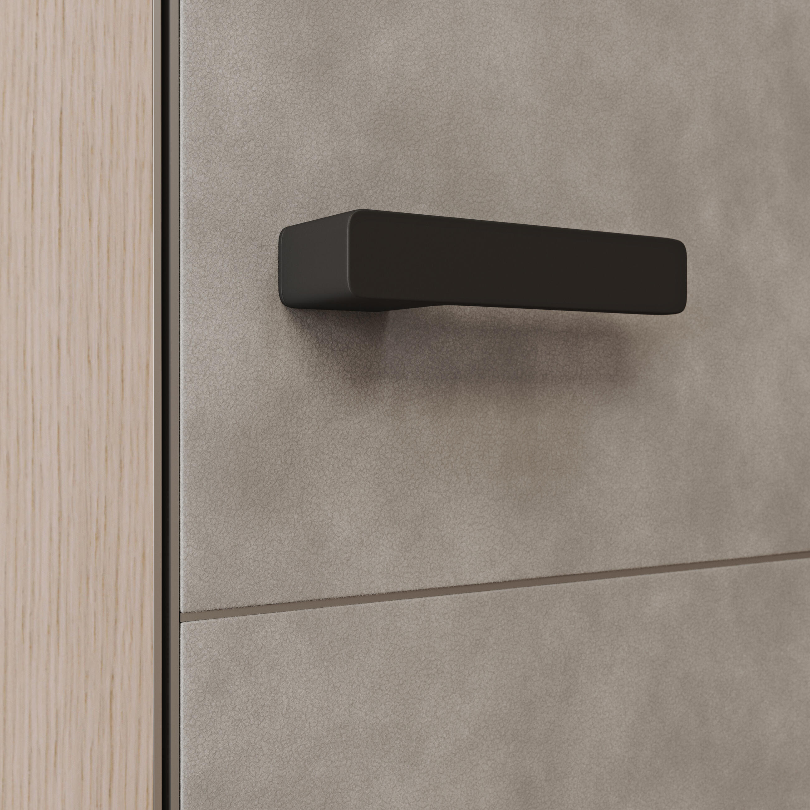 Dvere Master s kožou